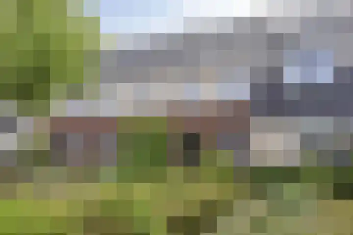 Tragel 30 IJsselmuiden thumbnail 26