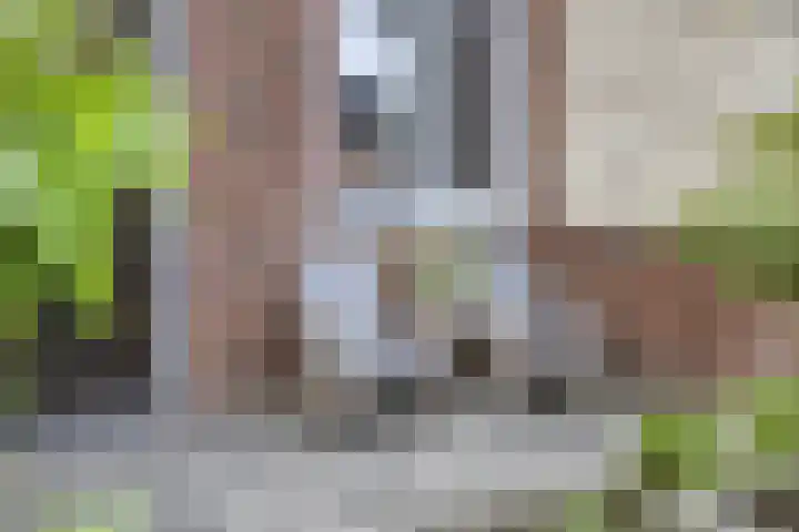 Tragel 30 IJsselmuiden thumbnail 27