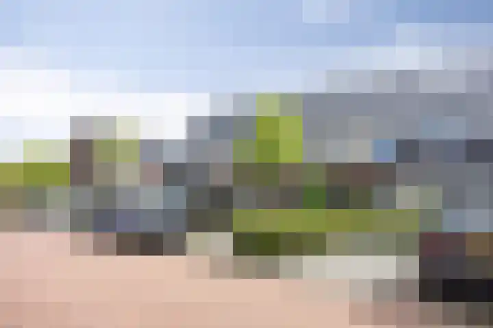 Tragel 30 IJsselmuiden thumbnail 28