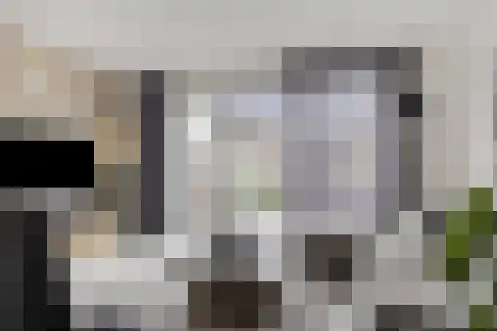 Tragel 30 IJsselmuiden thumbnail 4