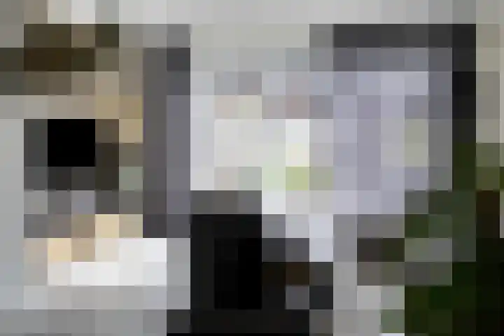 Tragel 30 IJsselmuiden thumbnail 5