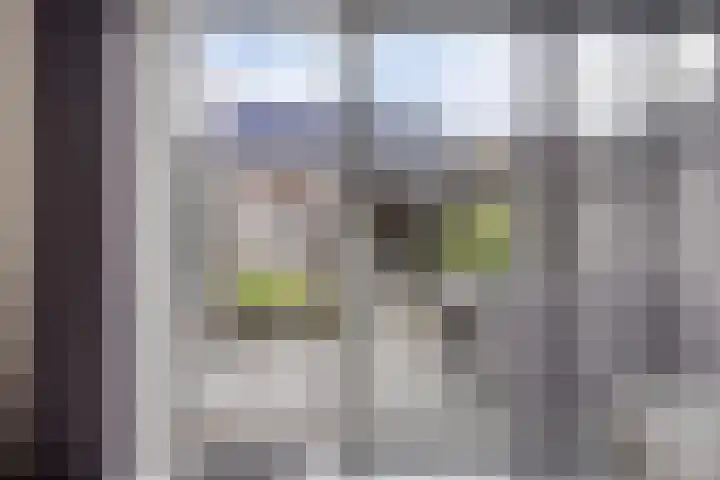 Tragel 30 IJsselmuiden thumbnail 6