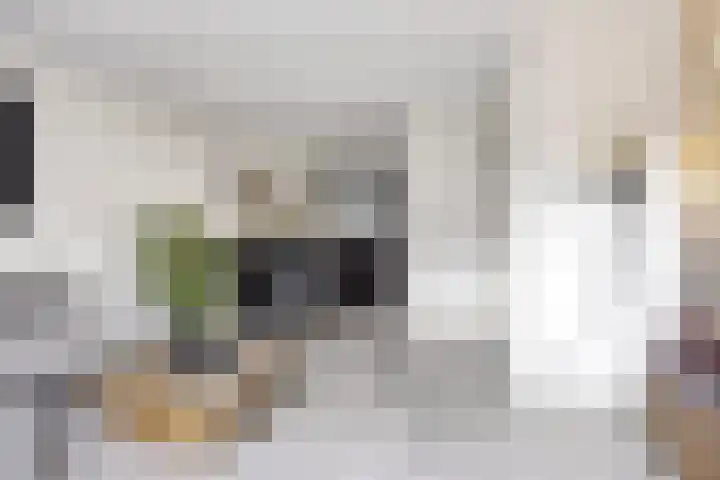 Tragel 30 IJsselmuiden thumbnail 8