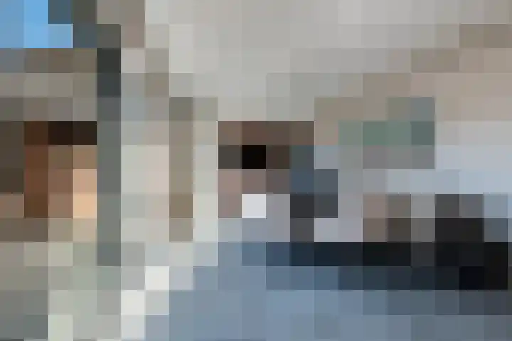 Traland 1 Eibergen thumbnail 19