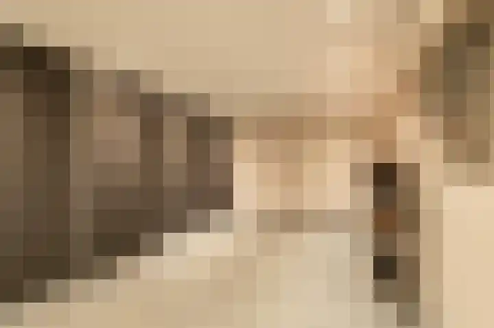 Traland 1 Eibergen thumbnail 30
