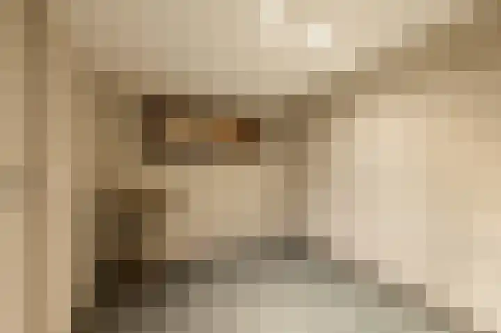 Traland 1 Eibergen thumbnail 33