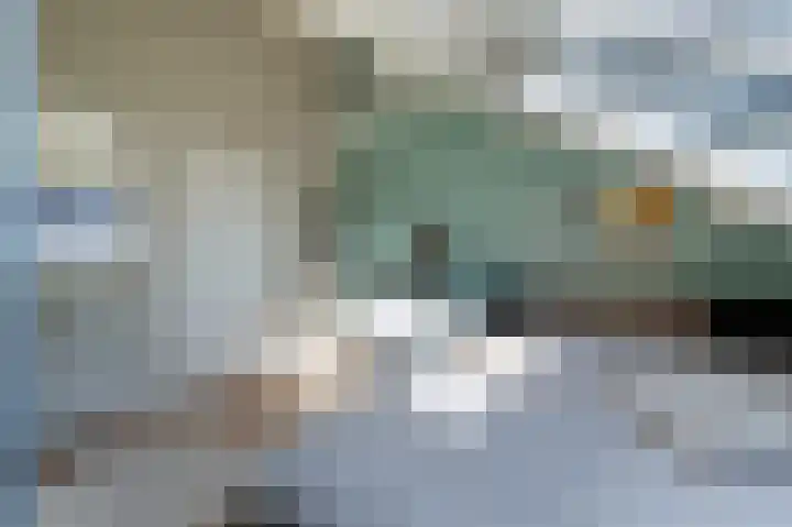 Traland 1 Eibergen thumbnail 41