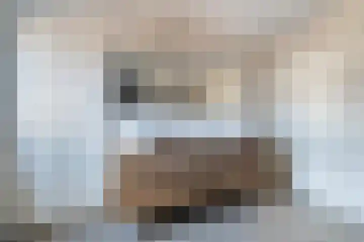 Traland 1 Eibergen thumbnail 47