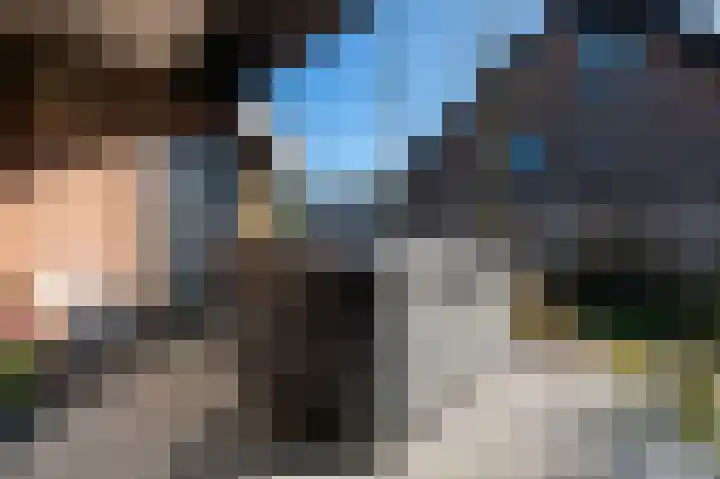 Traland 1 Eibergen thumbnail 50