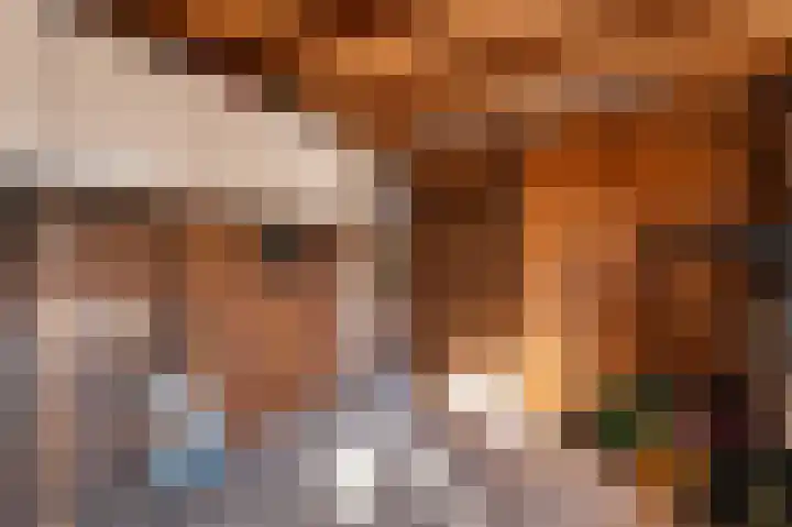 Traland 1 Eibergen thumbnail 59