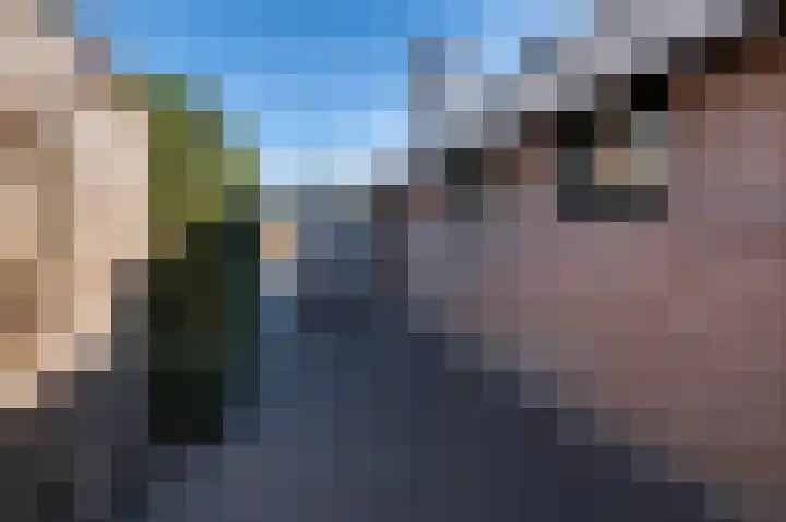 Traland 1 Eibergen thumbnail 61