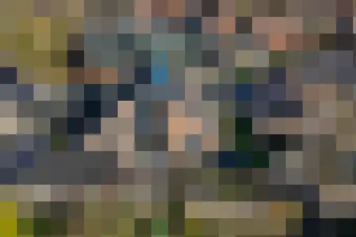 Traland 1 Eibergen thumbnail 64