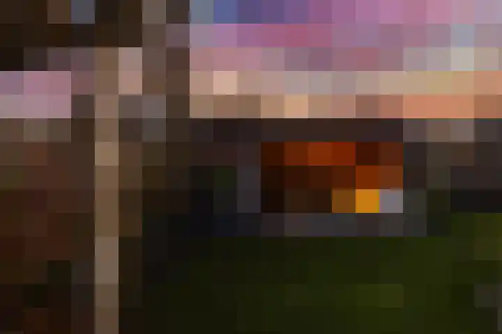 Traland 1 Eibergen thumbnail 69
