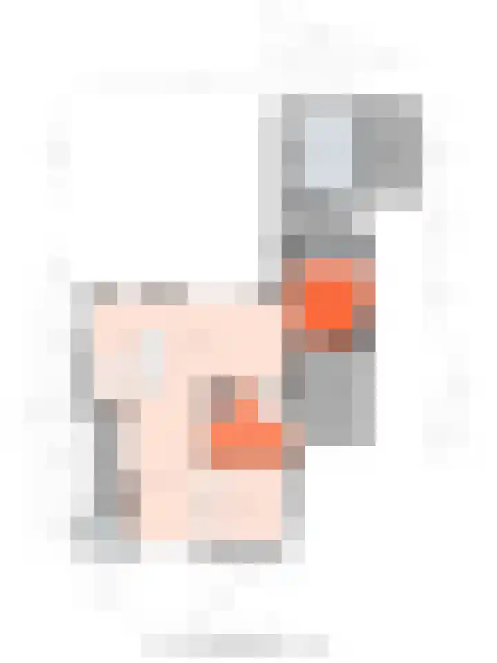 Traland 1 Eibergen thumbnail 72