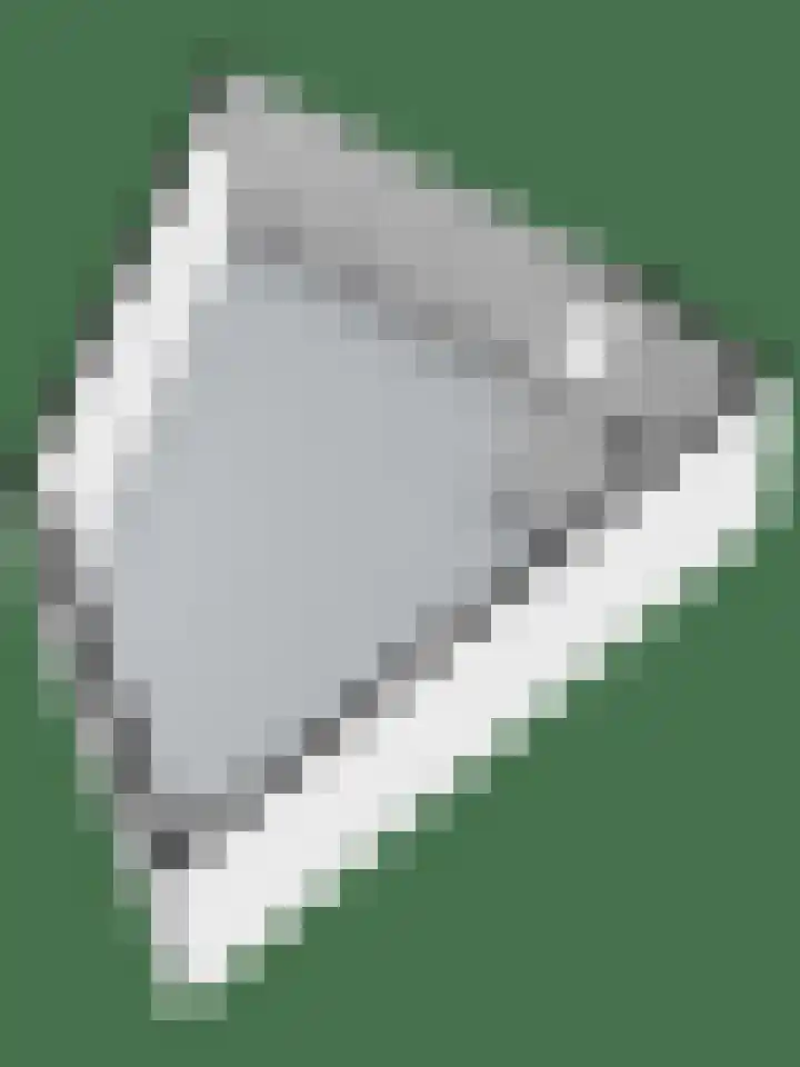 Traland 1 Eibergen thumbnail 79