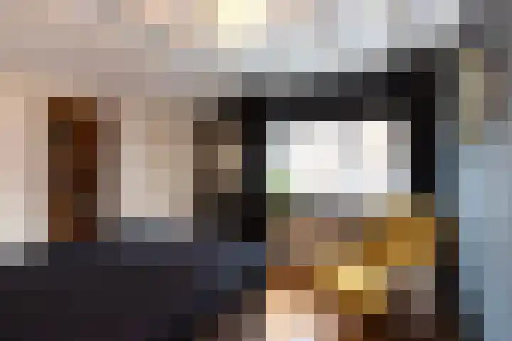 Traland 3 Eibergen thumbnail 12
