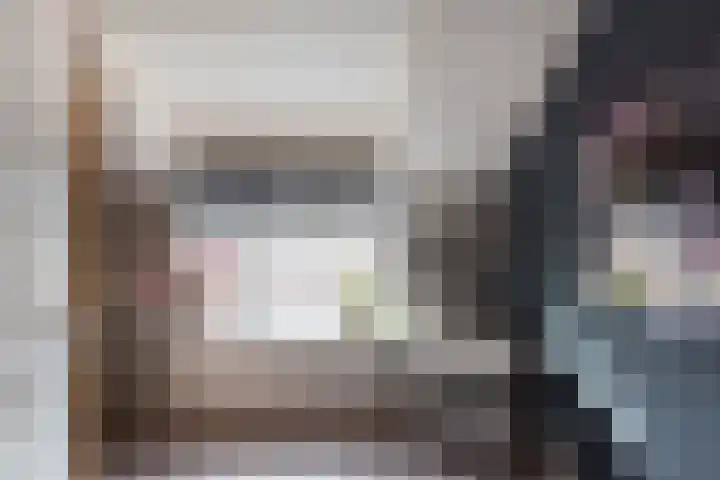 Traland 3 Eibergen thumbnail 14