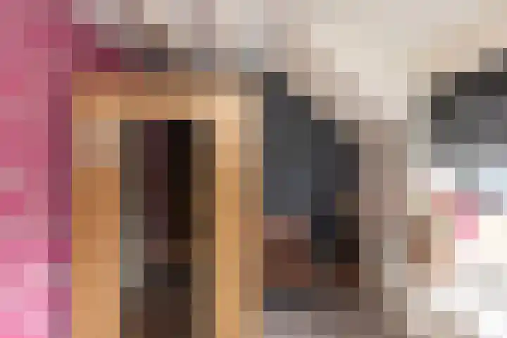 Traland 3 Eibergen thumbnail 15