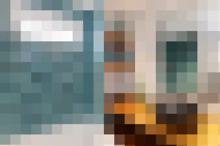 Traland 3 Eibergen thumbnail 16