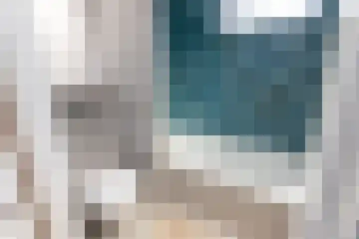 Traland 3 Eibergen thumbnail 17