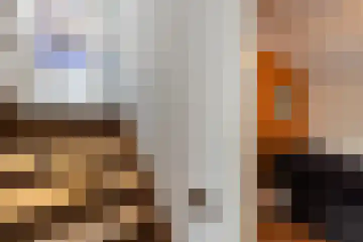 Traland 3 Eibergen thumbnail 18