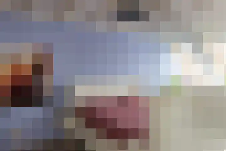 Traland 3 Eibergen thumbnail 19