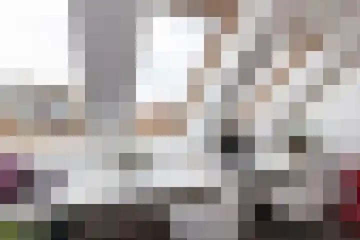 Traland 3 Eibergen thumbnail 20