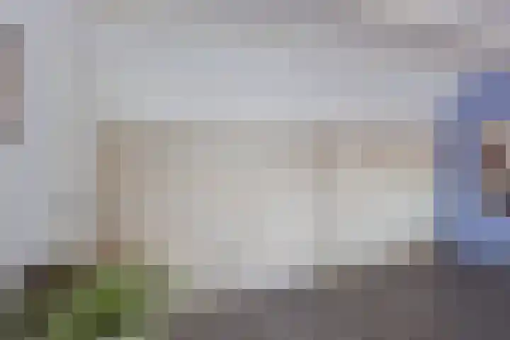 Traland 3 Eibergen thumbnail 21