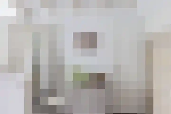 Traland 3 Eibergen thumbnail 22