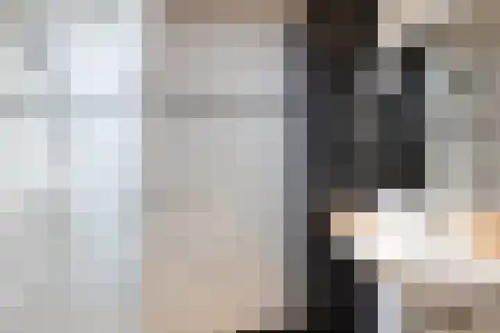Traland 3 Eibergen thumbnail 24