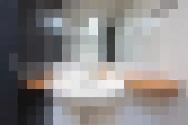 Traland 3 Eibergen thumbnail 25