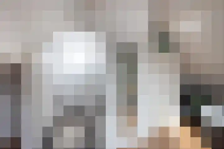 Traland 3 Eibergen thumbnail 27