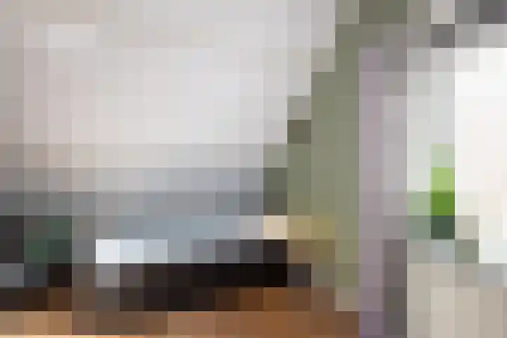 Traland 3 Eibergen thumbnail 28