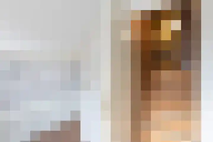 Traland 3 Eibergen thumbnail 29