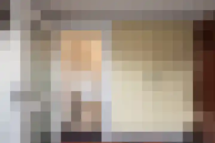 Traland 3 Eibergen thumbnail 32