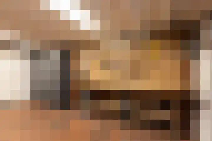 Traland 3 Eibergen thumbnail 34