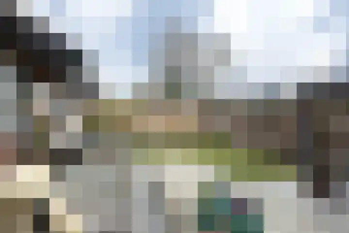 Traland 3 Eibergen thumbnail 38