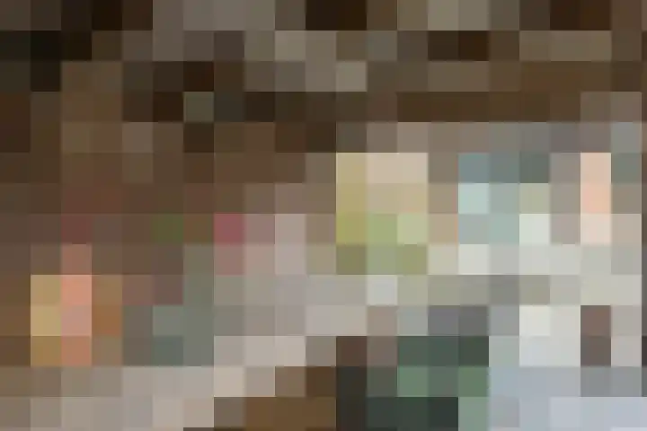 Traland 3 Eibergen thumbnail 40