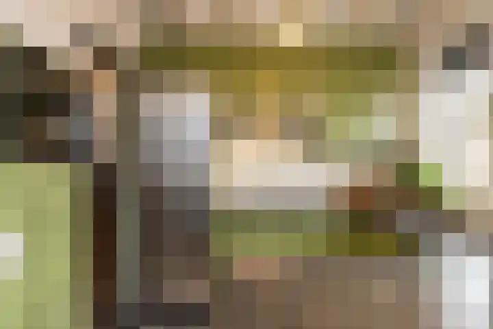 Traland 3 Eibergen thumbnail 7