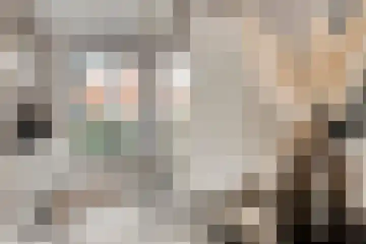 Trambaan 11 Lengel thumbnail 10