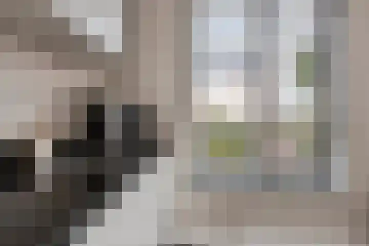 Trambaan 11 Lengel thumbnail 12