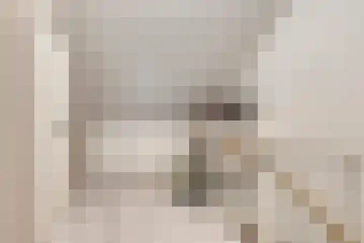 Trambaan 11 Lengel thumbnail 26