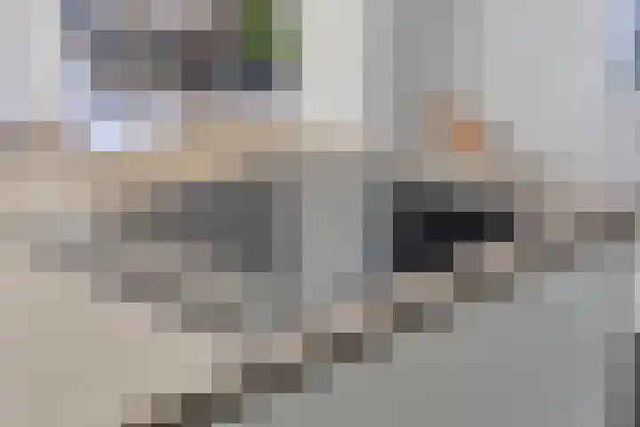 Trambaan 18 Helmond thumbnail 10