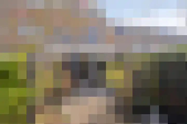 Trambaan 18 Helmond thumbnail 12