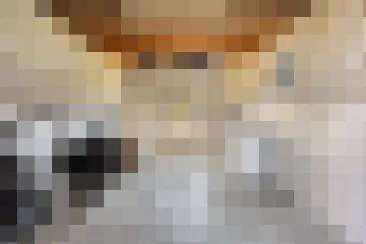 Trambaan 18 Helmond thumbnail 26