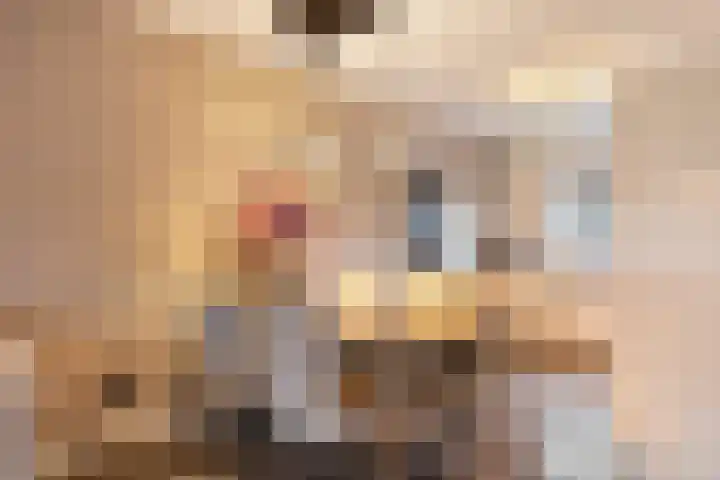 Trambaan 9 Lengel thumbnail 12