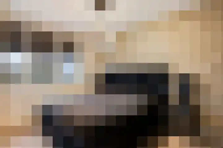 Trambaan 9 Lengel thumbnail 17
