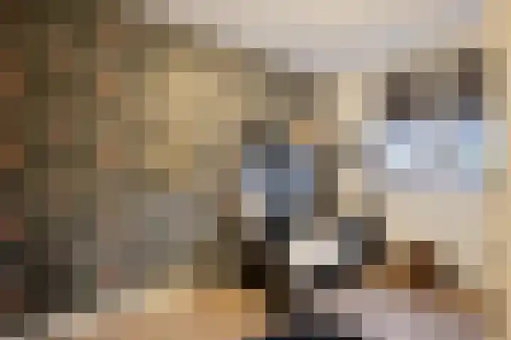 Trambaan 9 Lengel thumbnail 19