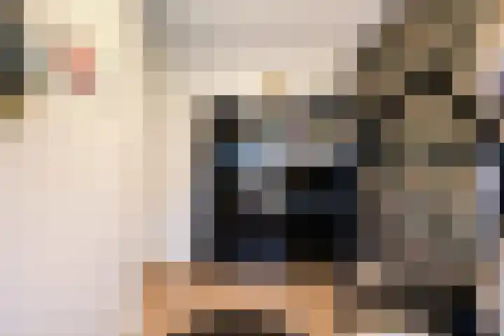 Trambaan 9 Lengel thumbnail 20