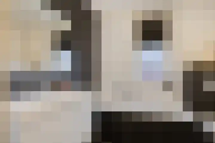 Trambaan 9 Lengel thumbnail 23